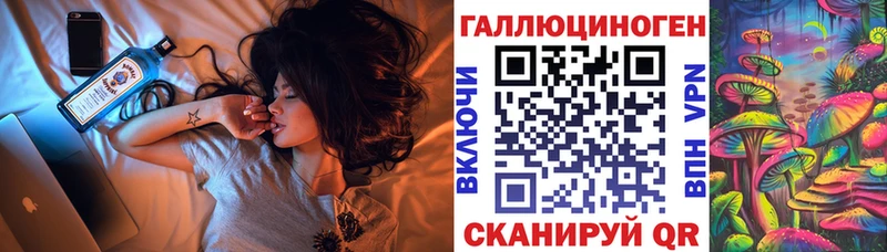 Псилоцибиновые грибы Psilocybe Каменногорск